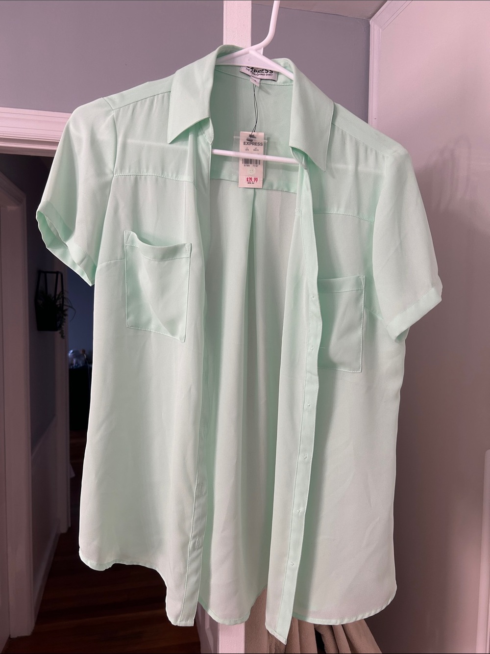 Express Mint Green Short-Sleeve Button-Down Shirt